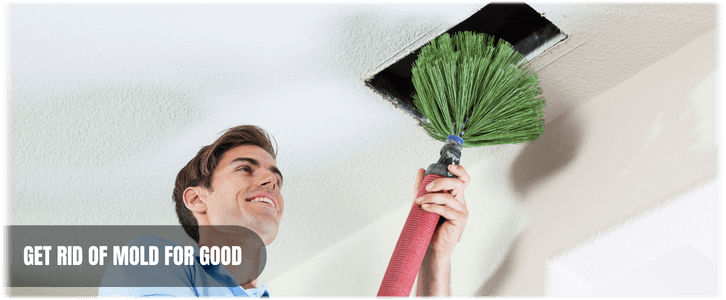 Air Duct Mold Removal in Katy