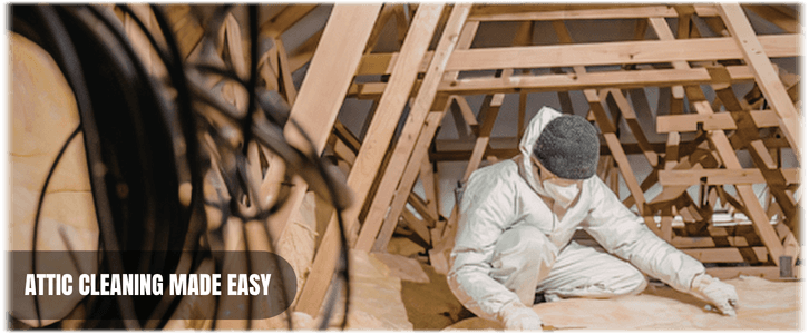 Attic Cleaning Katy